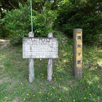 焼米ヶ原