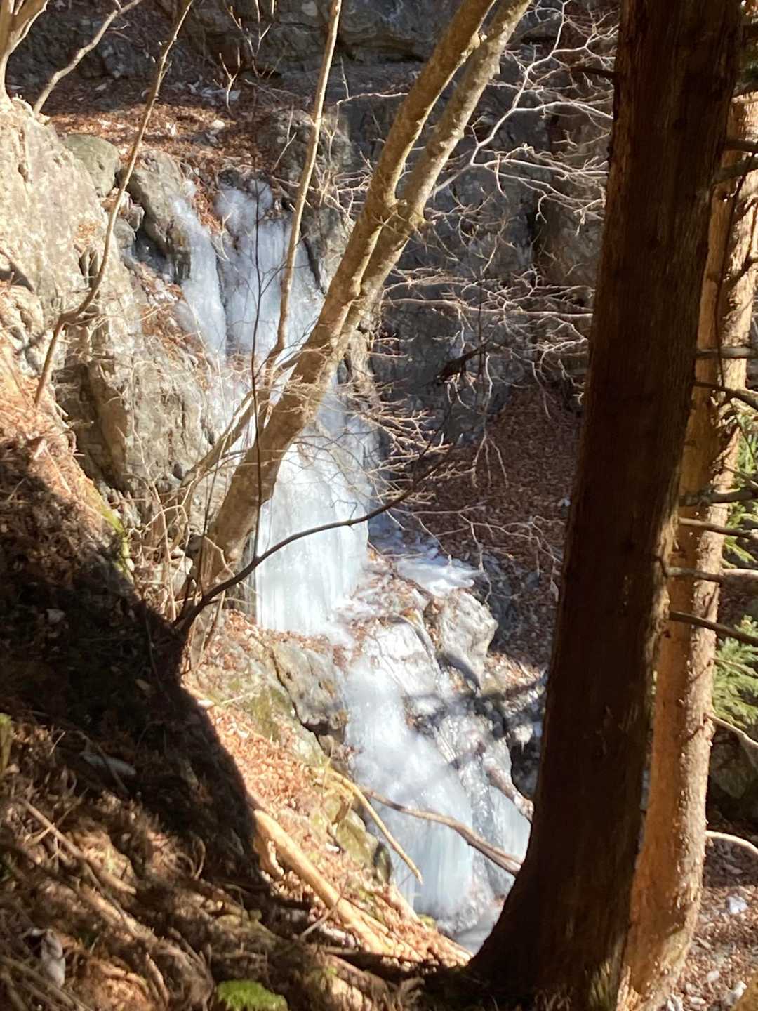 途中の沢も凍ってます