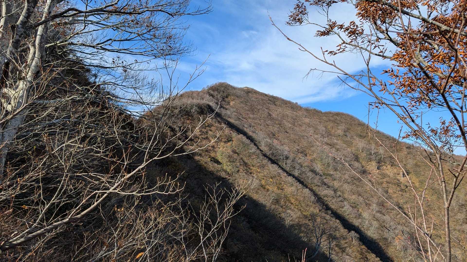ロックオン