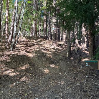 この分岐点を登って行きます