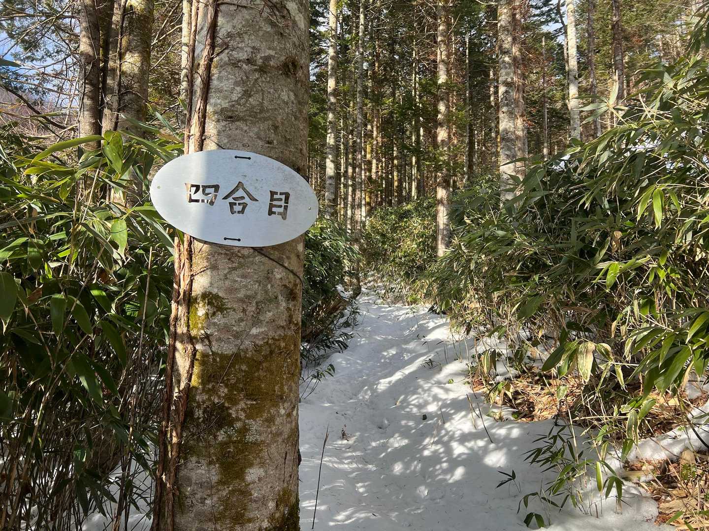 四合目