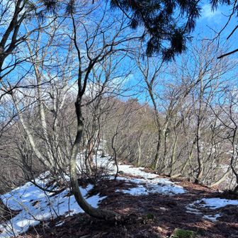 笑っていたら晴れてきた☀️
夜勤明けだけど笑笑でどんどん元気💪