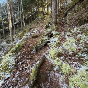 下っておしまい