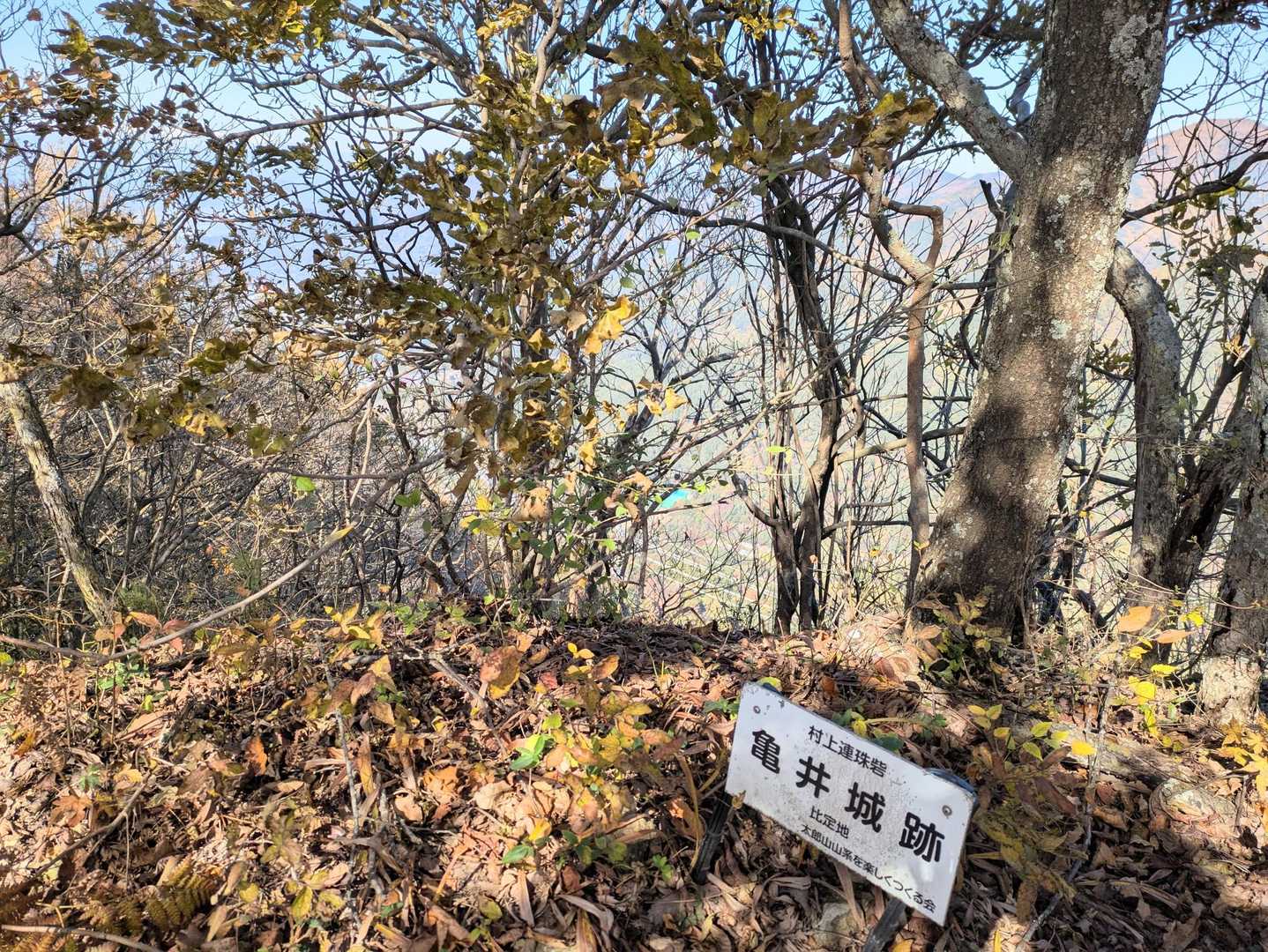 太郎山-弥五郎峰-虚空蔵山-陣馬鳥越山-下塩尻登山口 縦走コースの写真