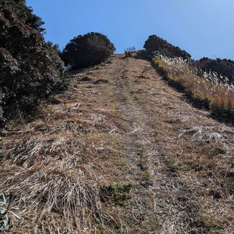 なんかすごい斜度ですが…