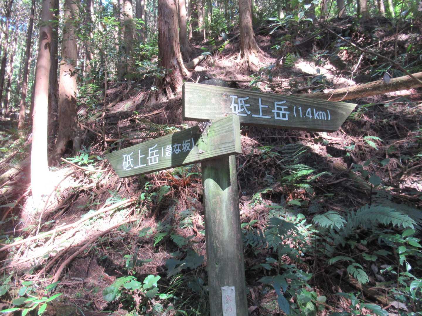 左手、急な坂を進みます✌️