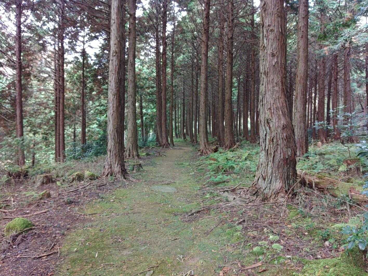 その分、誰も居ないから好き
