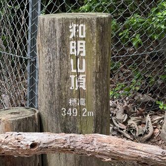 眺望なしの山頂広場
