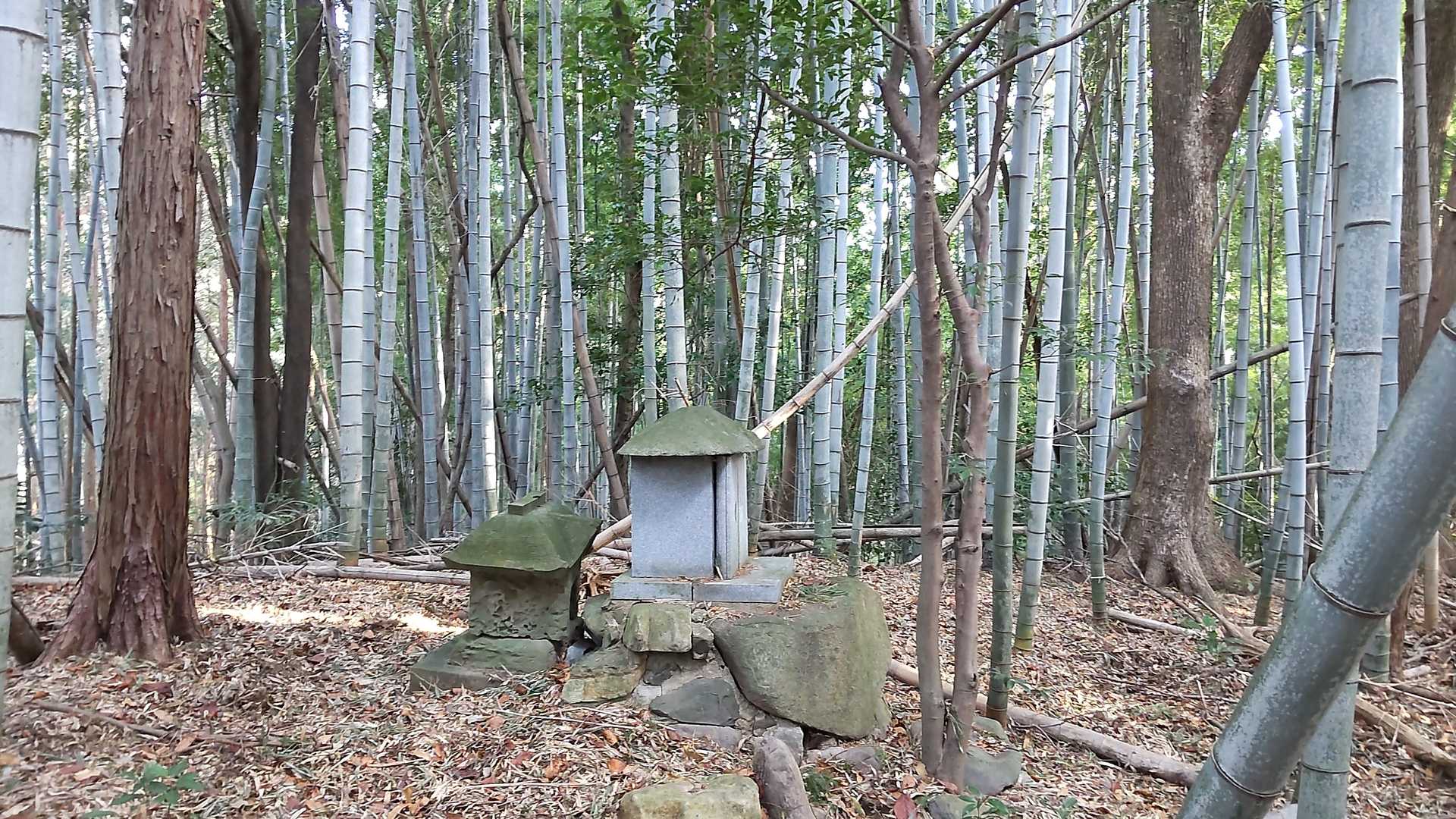 あっという間に市瀬城山に到着です！眺望はありませんが、祠あり。私有地でしたらすみません🙇