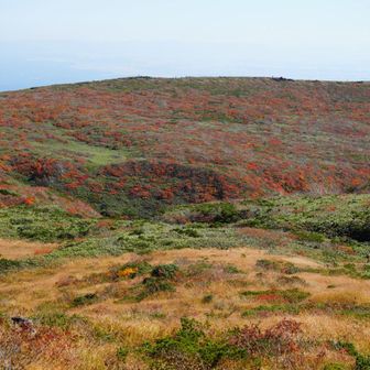 栗駒山山頂から東栗駒山方面へ。神の絨毯を横からみたやつ