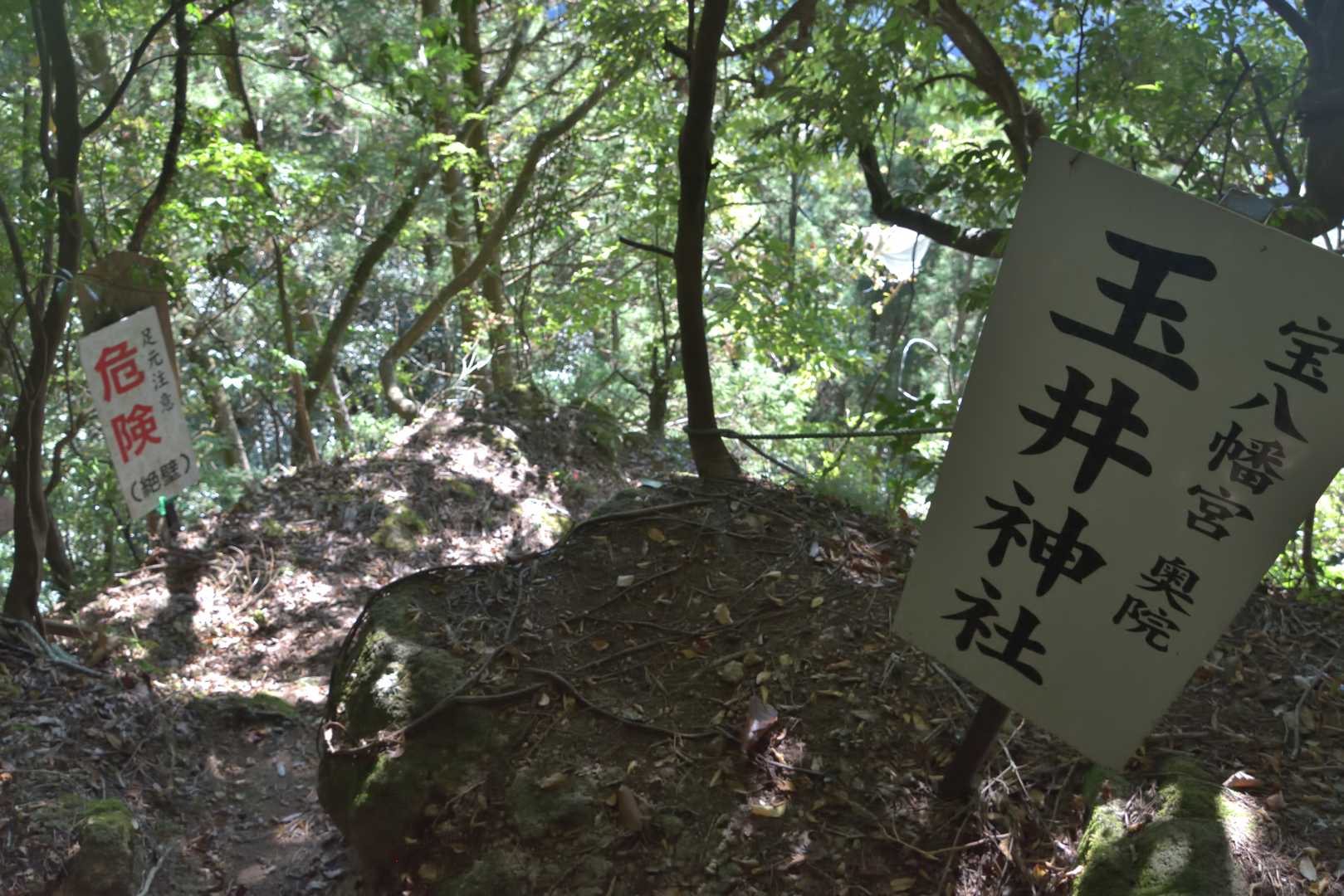 宝山 往復コースの写真