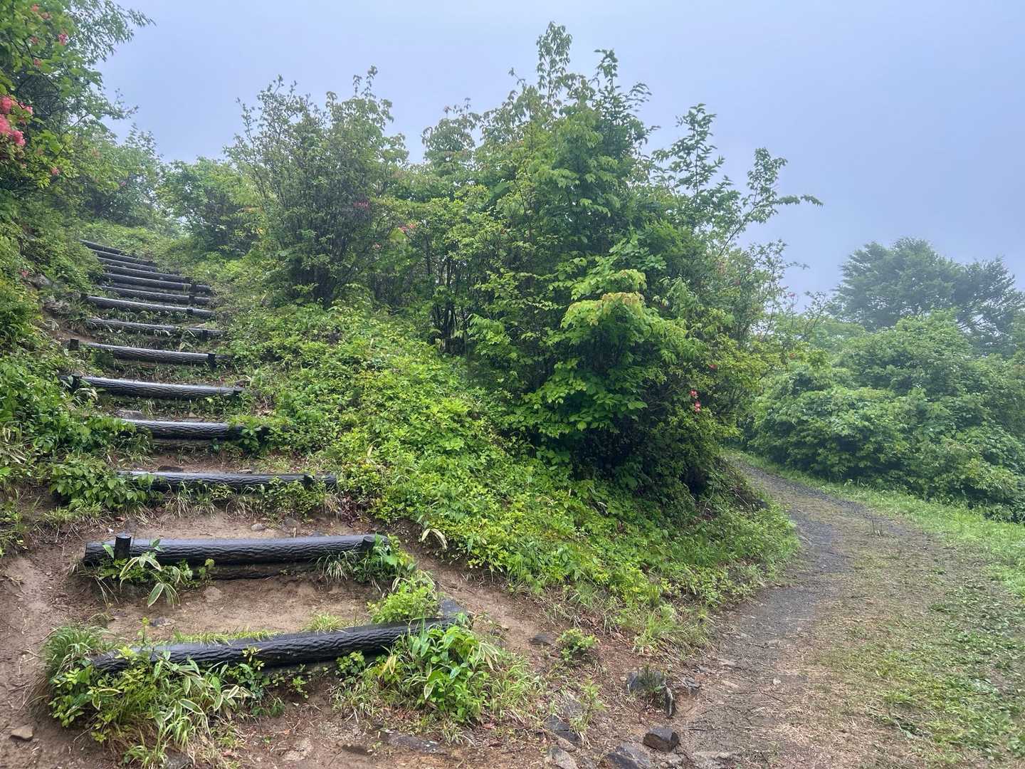 高柴山 周回コースの写真