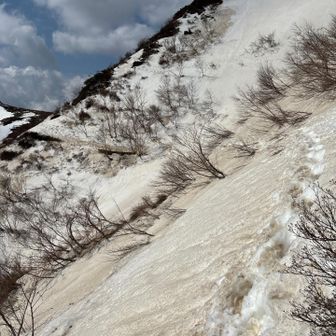 そろそろ踏み抜きするかもです