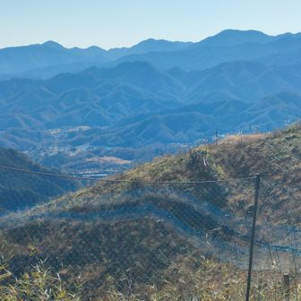 奥、左から蛭ヶ岳、桧洞丸、大室山😀