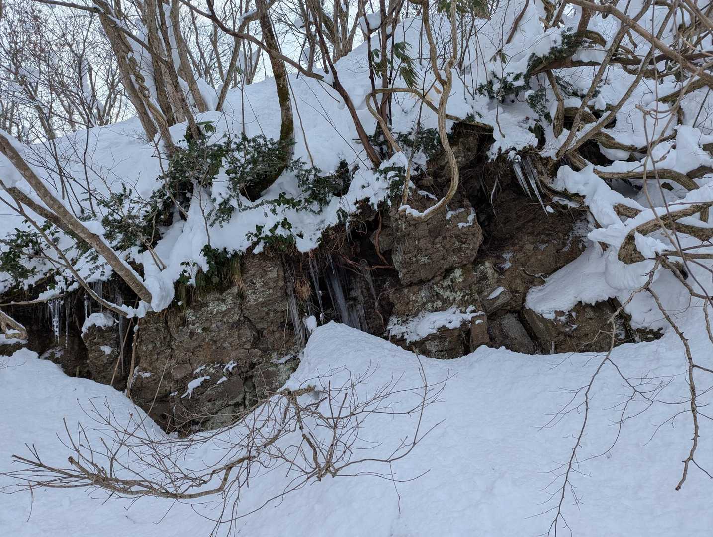 ひたすらエッサエッサ👣👣