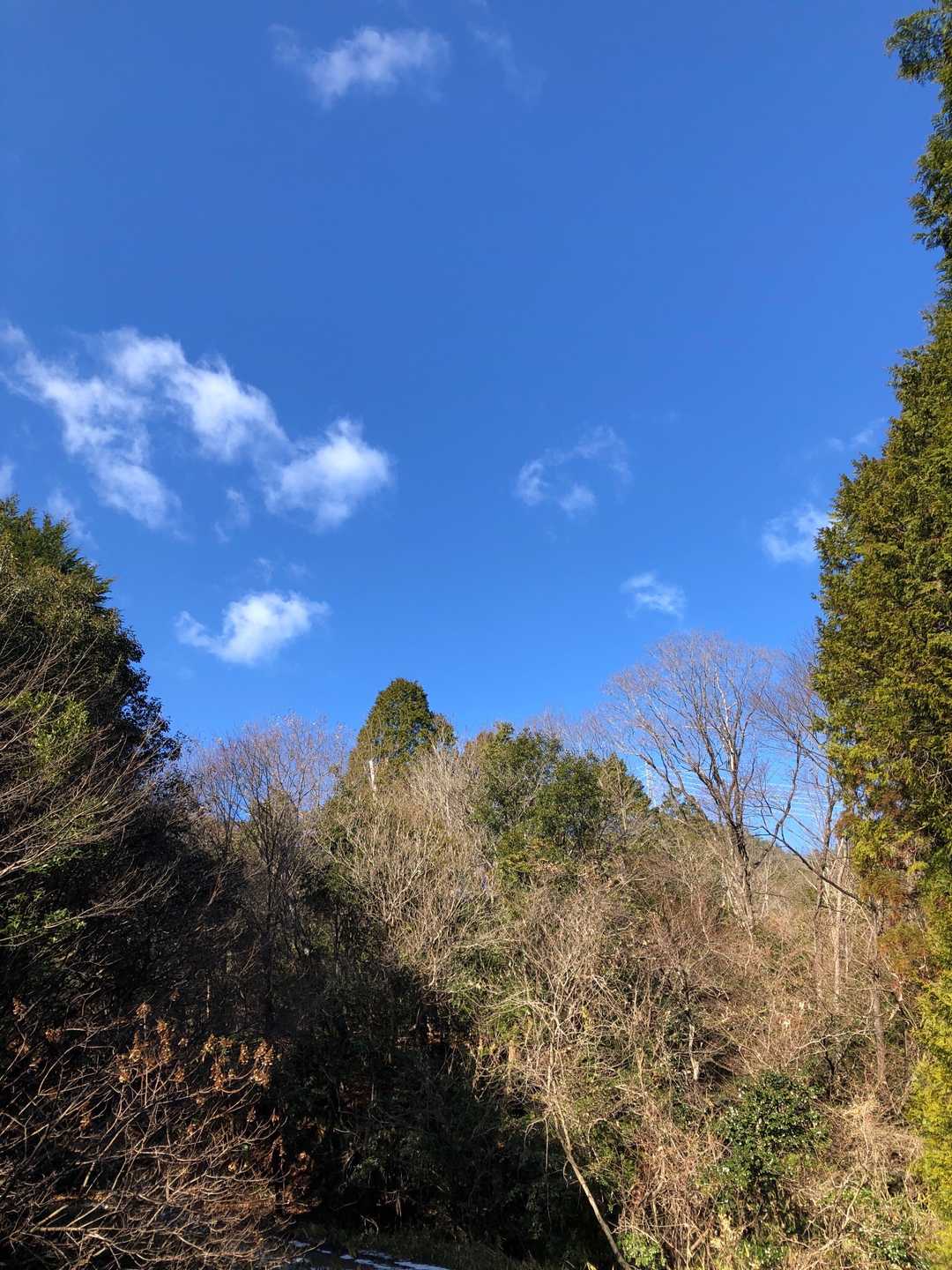 空にも天狗👺様⁉️ みえる😳？