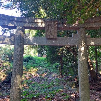 西岳神社⛩️の裏手が地点
石ヶ岳山頂 ゴール🏁標識解らず⤵　