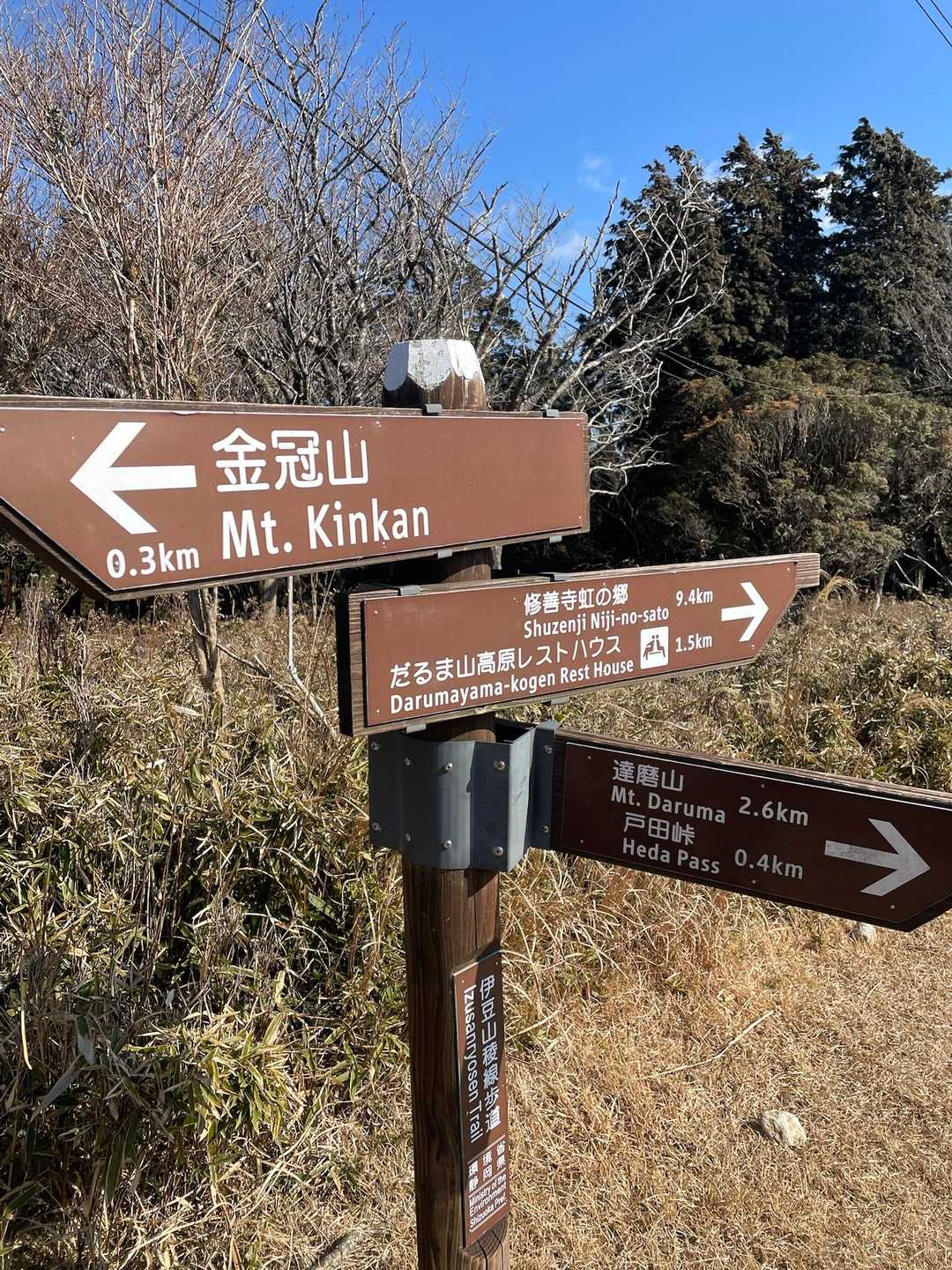 達磨山は強風のため断念