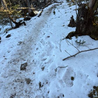タカデッキ付近まで、日陰に雪が残っていましたが、チェンスパ使わなくても大丈夫でした