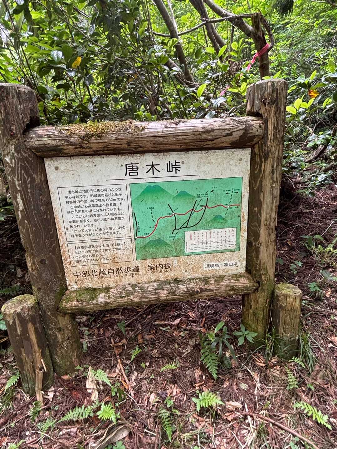 唐木峠-高落場山-草沼山 周回コースの写真