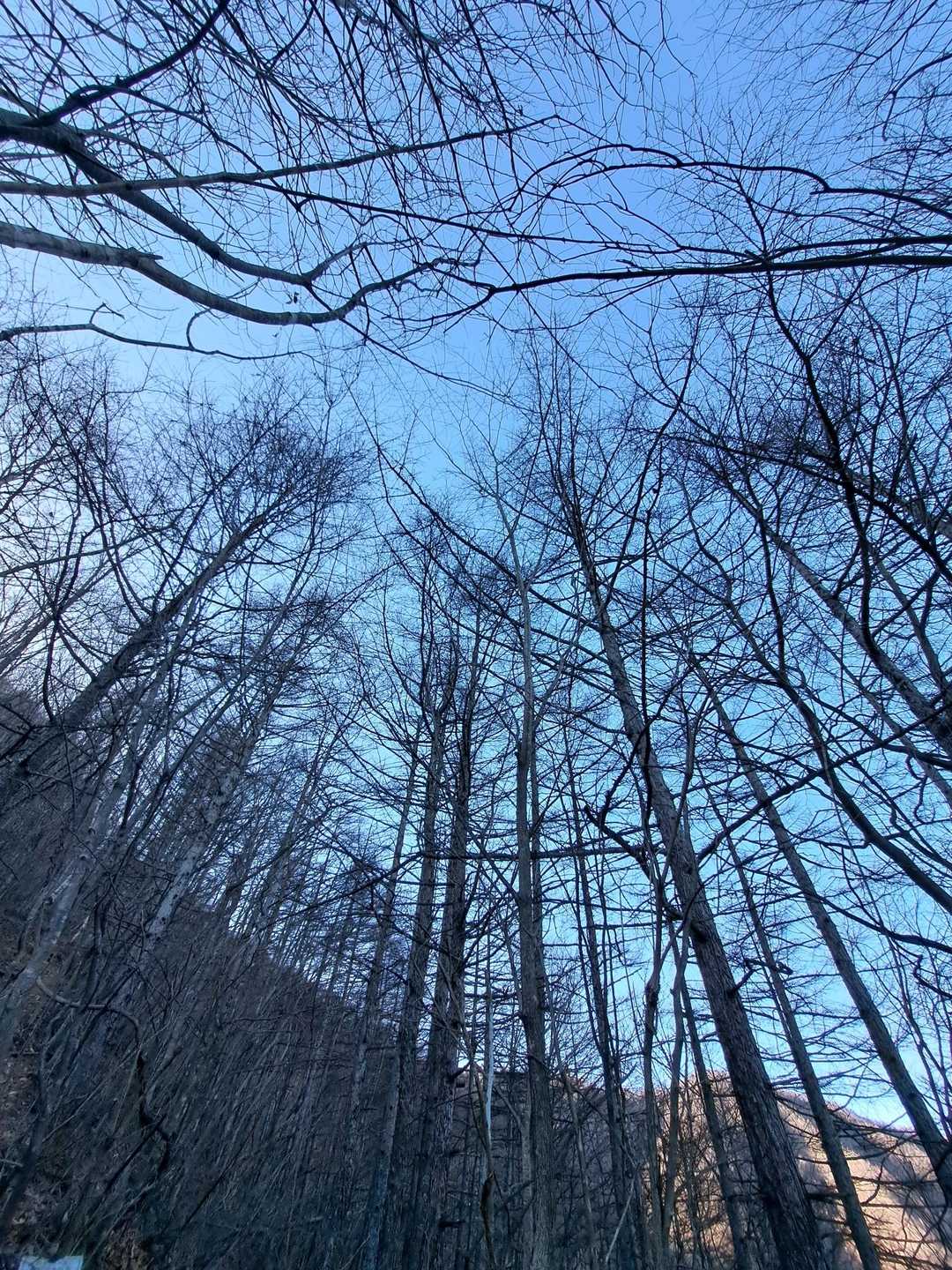 空が近くなってきた気がする😔