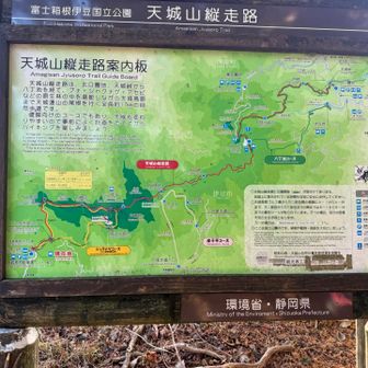 さて、本命です。このときは、まだ、周回の大変さを認識してませぇん