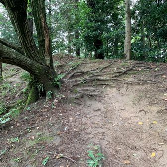 ずり落ちるわけにはいかない