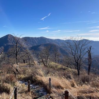 左手が蛭ヶ岳。丹沢の主稜線が一望です✨