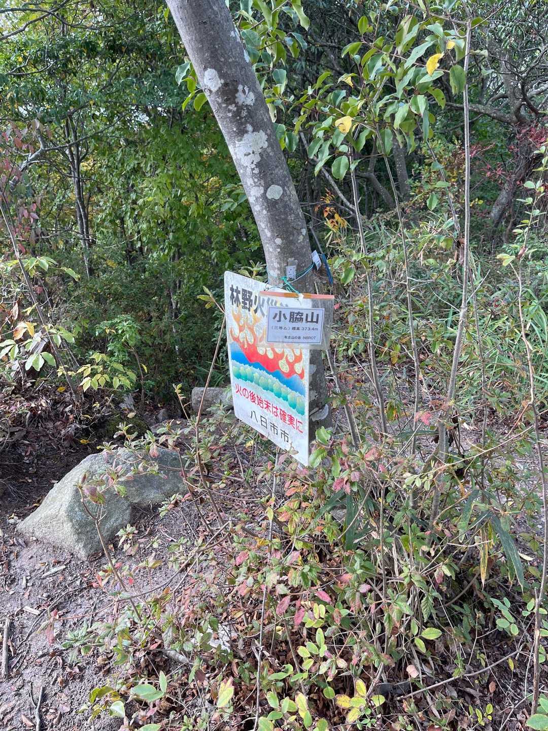 市辺駅-船岡山登山口-船岡山-船岡山登山口-十三仏登山口- 縦走コースの写真