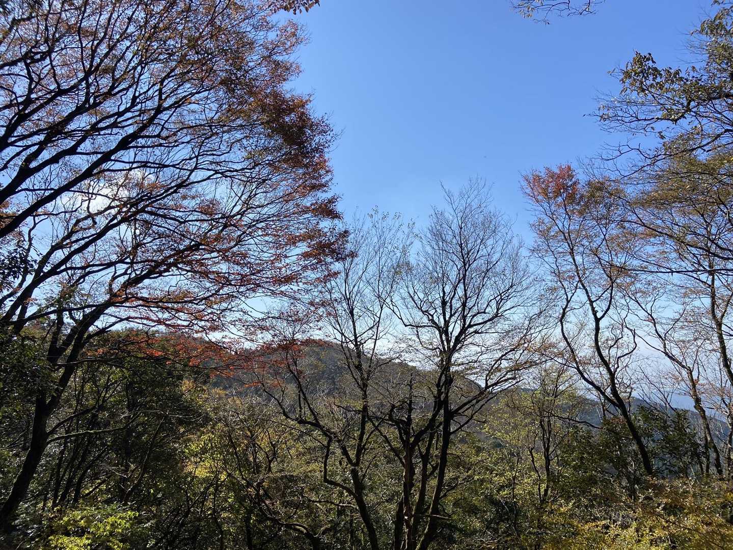 五合目登山口 往復コースの写真