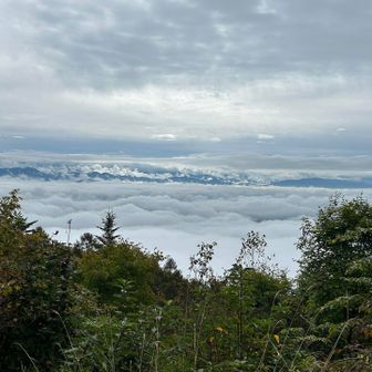 雲海がきれい🤩
正面には南アルプスが見えるんだけどなぁ…