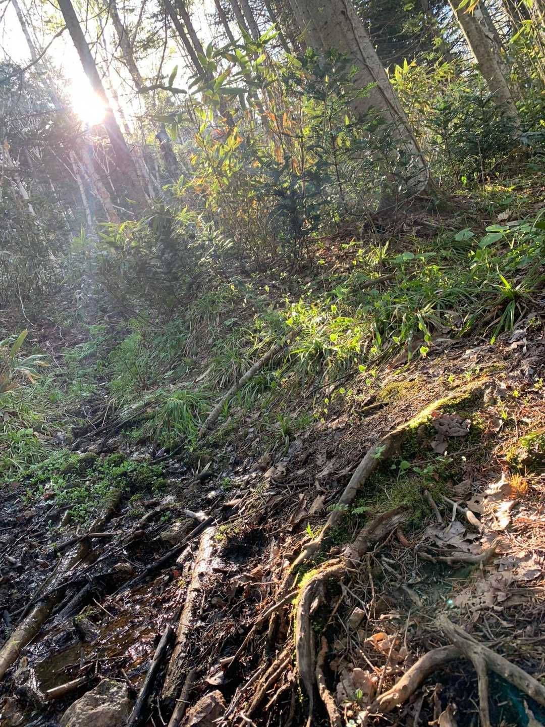 小川の渡渉も数カ所あり