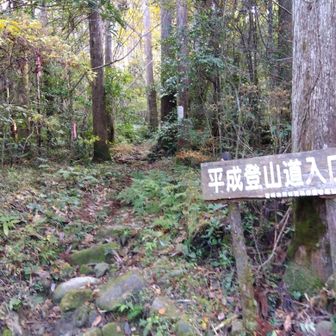 「平成登山口」に着きました。
ここから「丸野駐車場」まで遊歩道です🥾