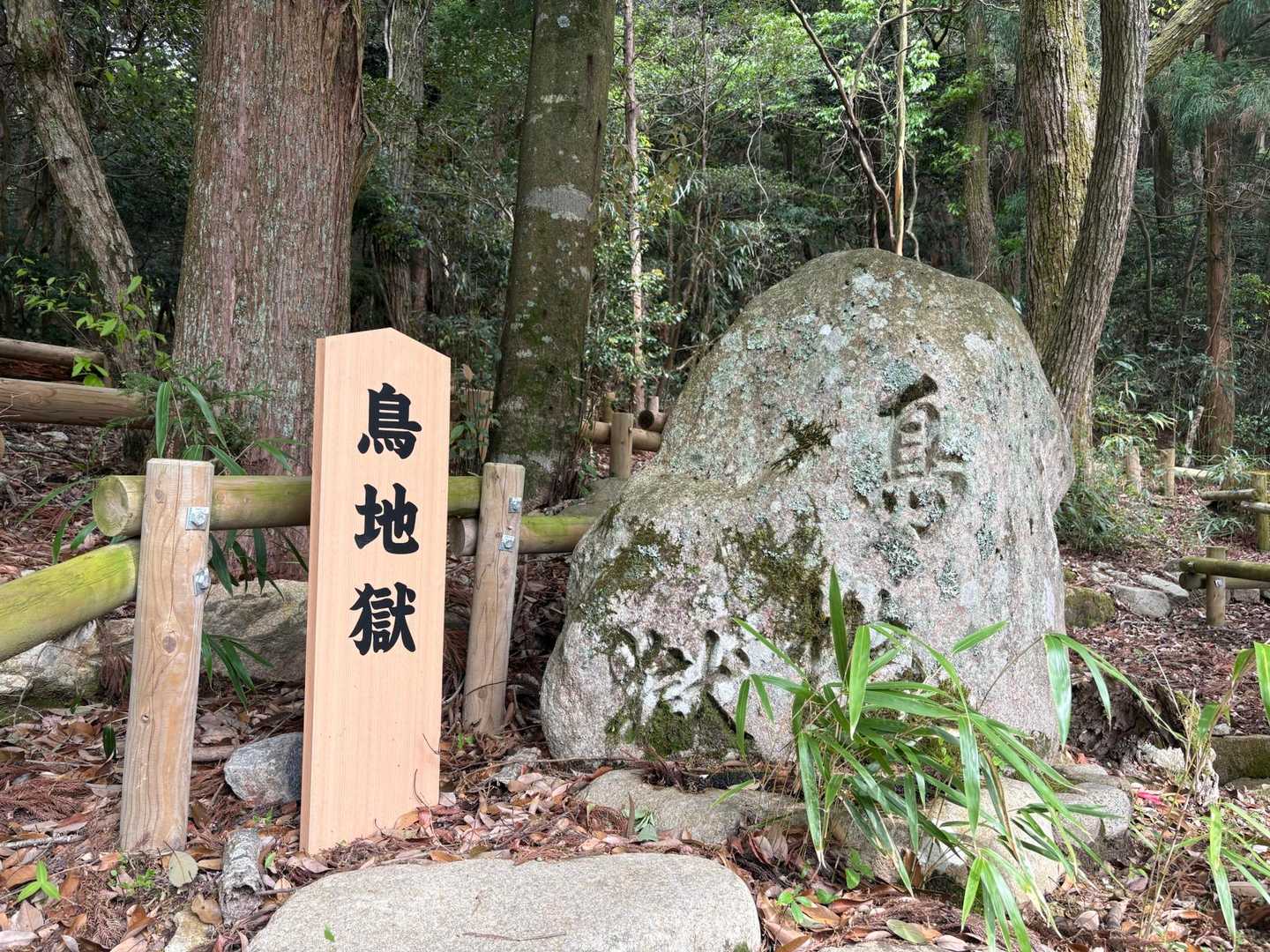 六甲越-六甲山 往復コースの写真