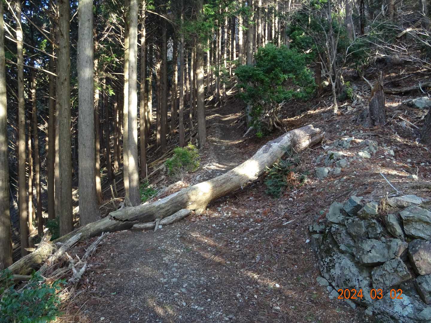 局ヶ岳 往復コースの写真
