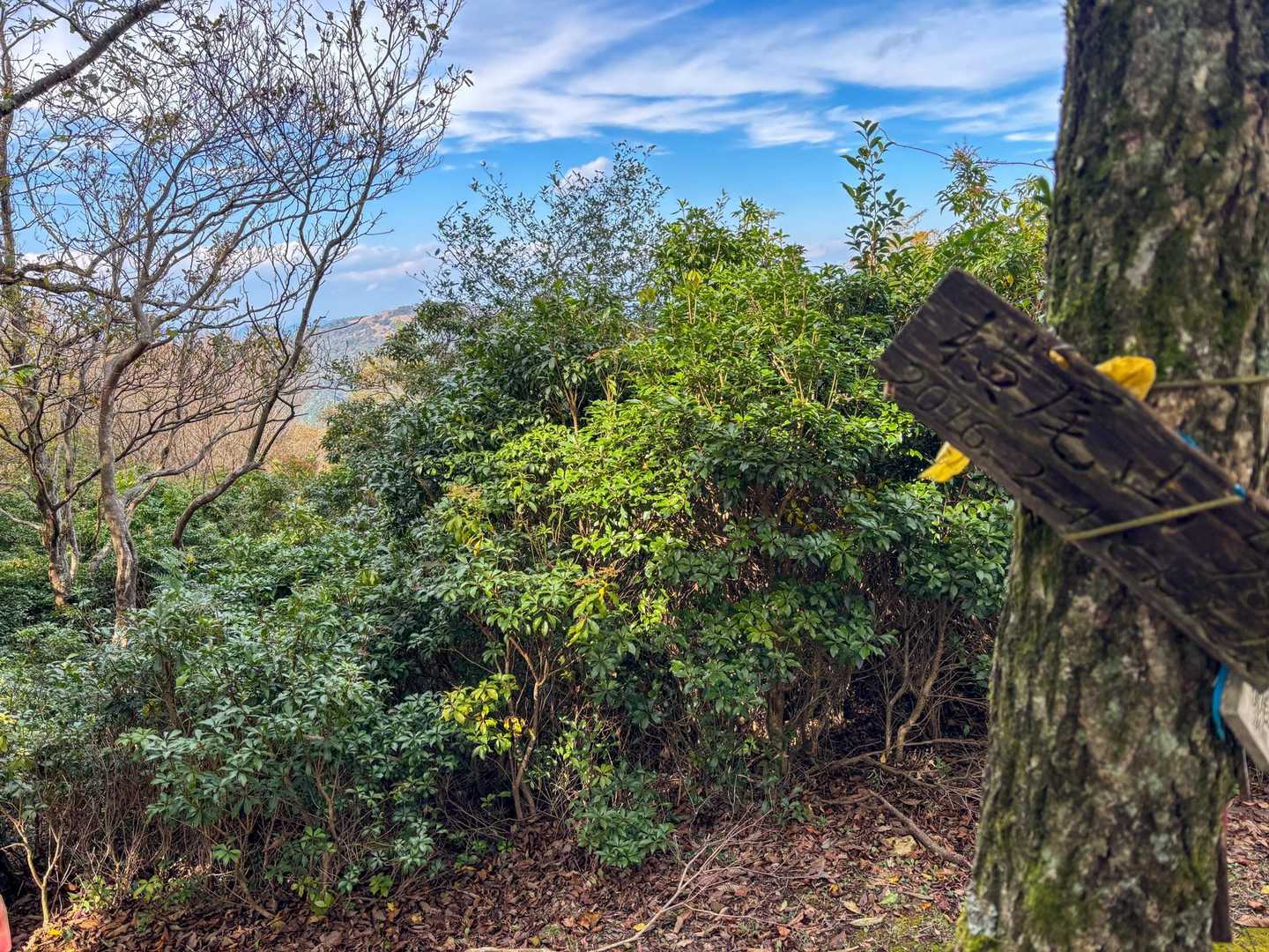 横尾山⛰️ほとんど景色見えないので足早に去ります😅