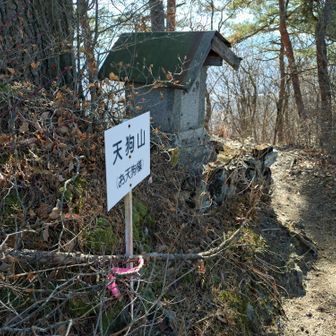 天狗山山頂に到着。