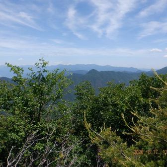 中央の濃い緑の三角は釈迦ヶ岳、奥の稜線が枝に掛かる右が大菩薩嶺@節刀ヶ岳