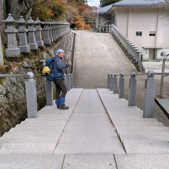 
齢をかさねますと
「厄除」とゆうワードにひかれます

