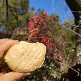 名産南天とめでたい最中アイス