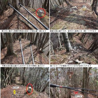 縦走尾根はコップの底

東三方ヶ森付近の縦走尾根は南に進んで来た尾根が一旦東西に短く延び、その後北に向かうと言うコップの底？地形です

山頂から阿歌古渓谷への下山尾根を進み、その分岐で左折する

さらに少し進むと今度は関屋登山道への下山口分岐があるので、ここも左折して回り込んで行きます