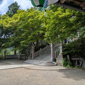 これくらいしか撮る余裕がありませんでした