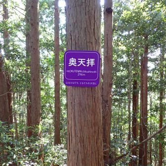 奥天拝まで足を伸ばす