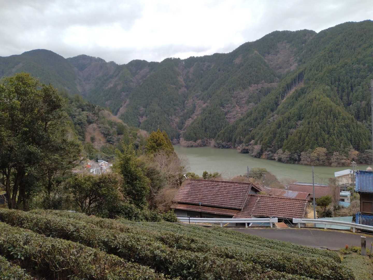 こちらは、何山かな？🤔
