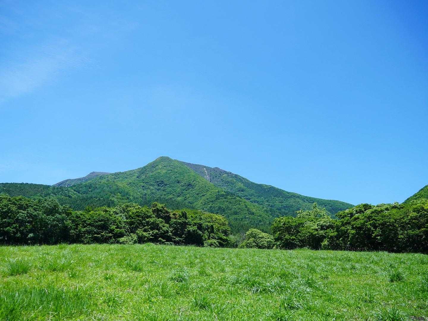 振り返る
