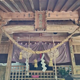 熊野神社⛩️に下りてきました