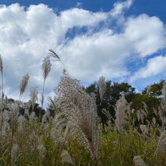 登山口　手前まで下りて来ました🥾
秋だ🍂
この辺りでもお二方とスライド
