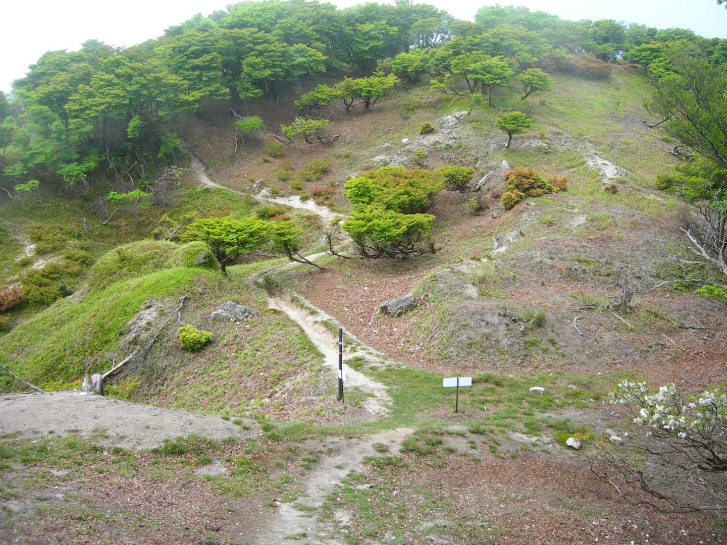 石榑峠-三池岳-八風峠-北仙香山-中峠 往復コースの写真
