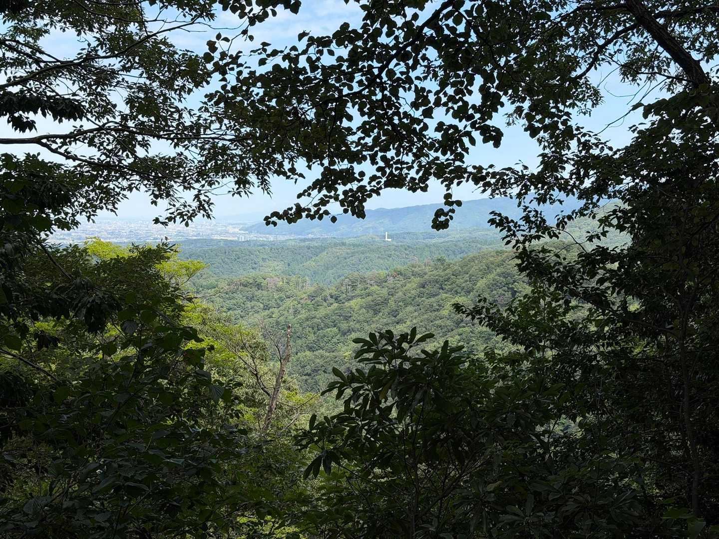 遣水観音山 周回コースの写真
