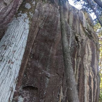裏側から、この巨岩の上に皆で順番に登りました🪜